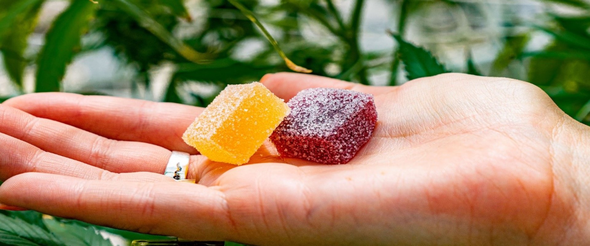 What are the negative effects of delta 9 gummies?
